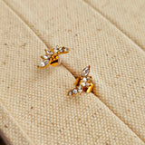 June Zircon Stud Earrings